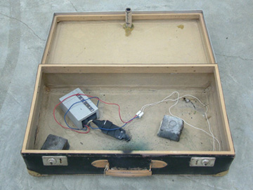 Roman Signer 2006年作 Valise。