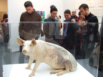 比利時藝術家Wim Delvoye戲劇性的豬「Rex」作品2006年。