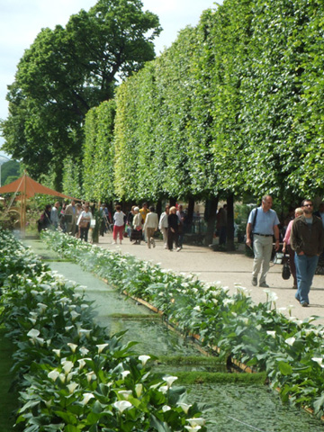 園藝家Laurent - Perrier 的「偉大世紀園」(Un Jardin Grand Siecle ) 一景。