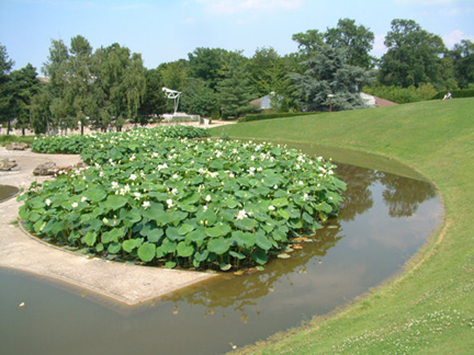 2005年百花園特以「荷花」為主題。