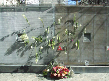 索本大學正面門口被封鎖在銅牆鐵壁中，鐵壁上被示威學生獻上鮮花之詩意一景。